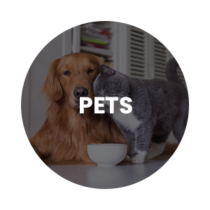 Pets - Tudo on